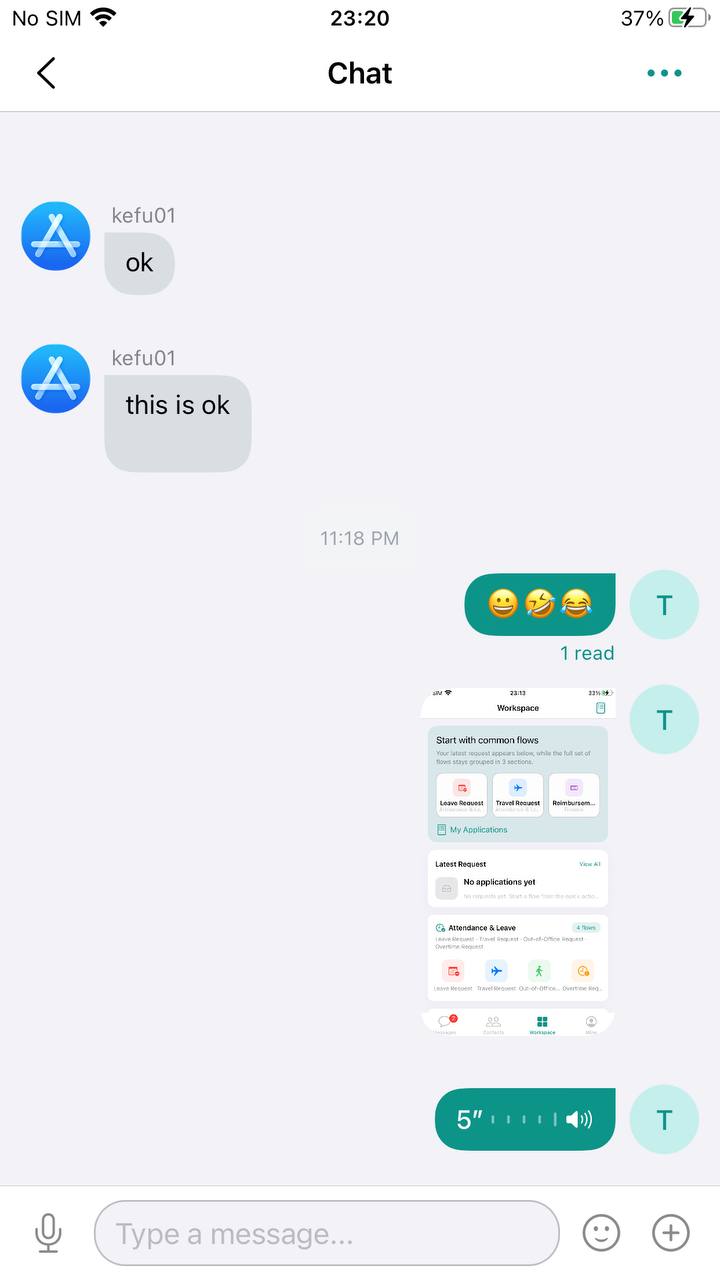 聊天界面截图
